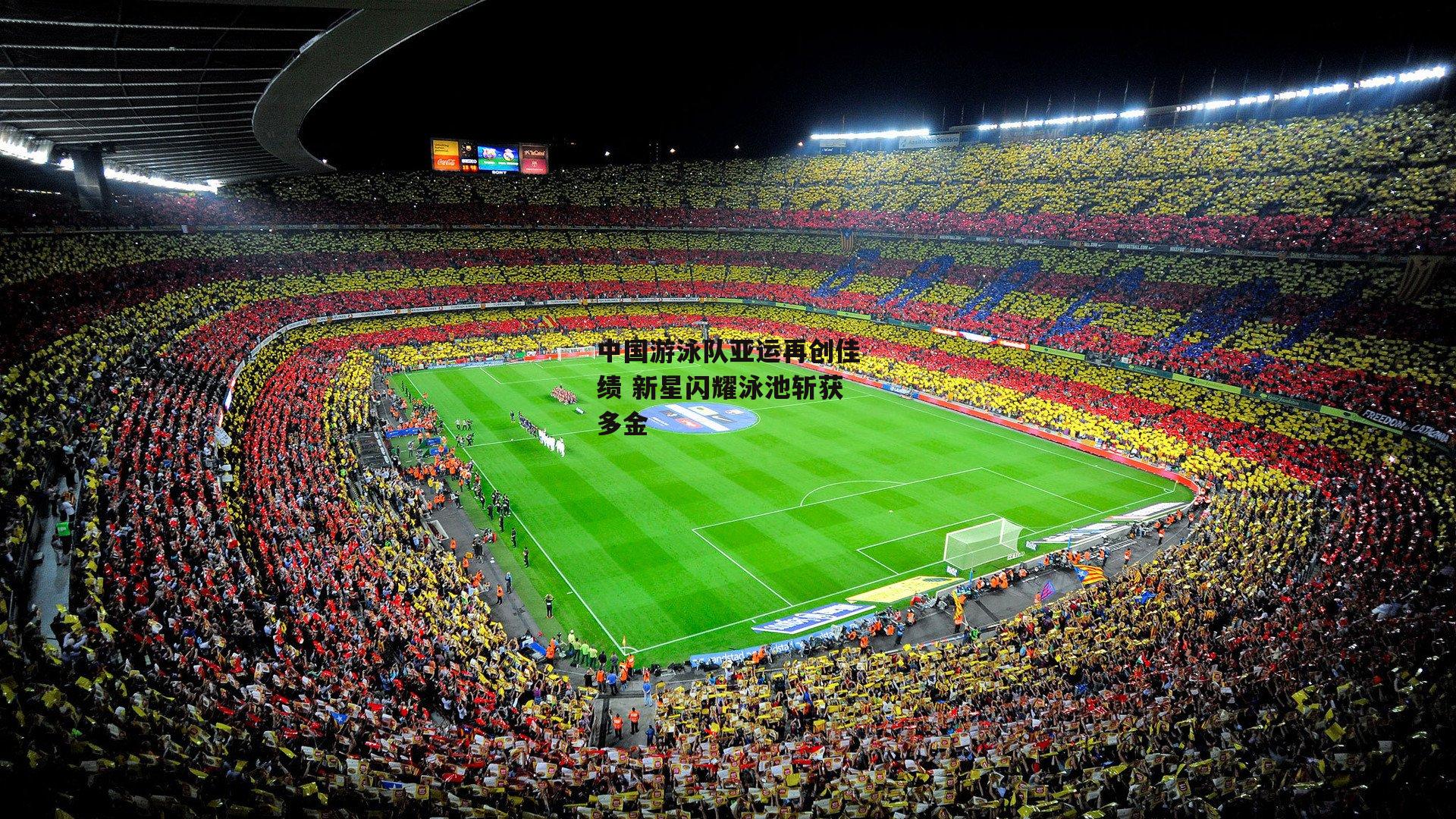 中国游泳队亚运再创佳绩 新星闪耀泳池斩获多金