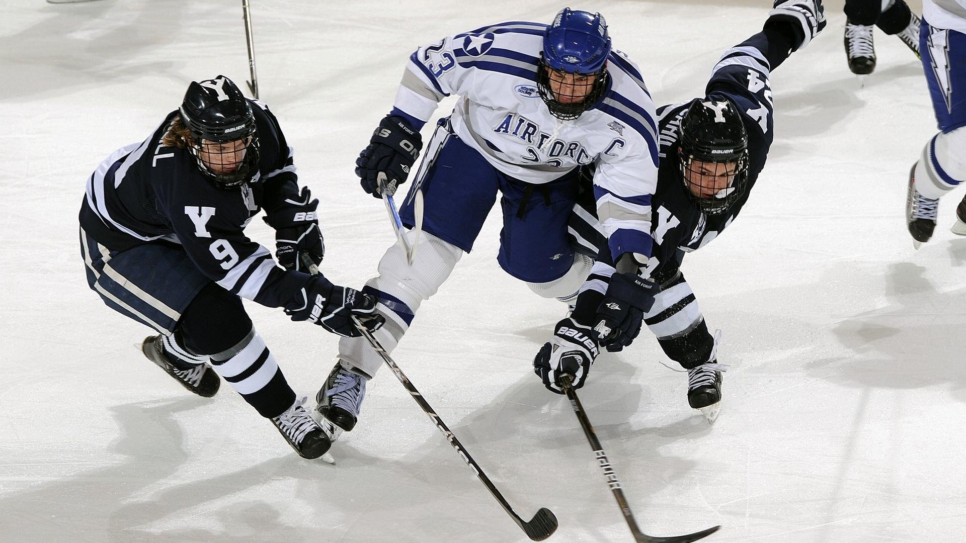 球迷文化再升级，赛场内外共筑体育精神新篇章